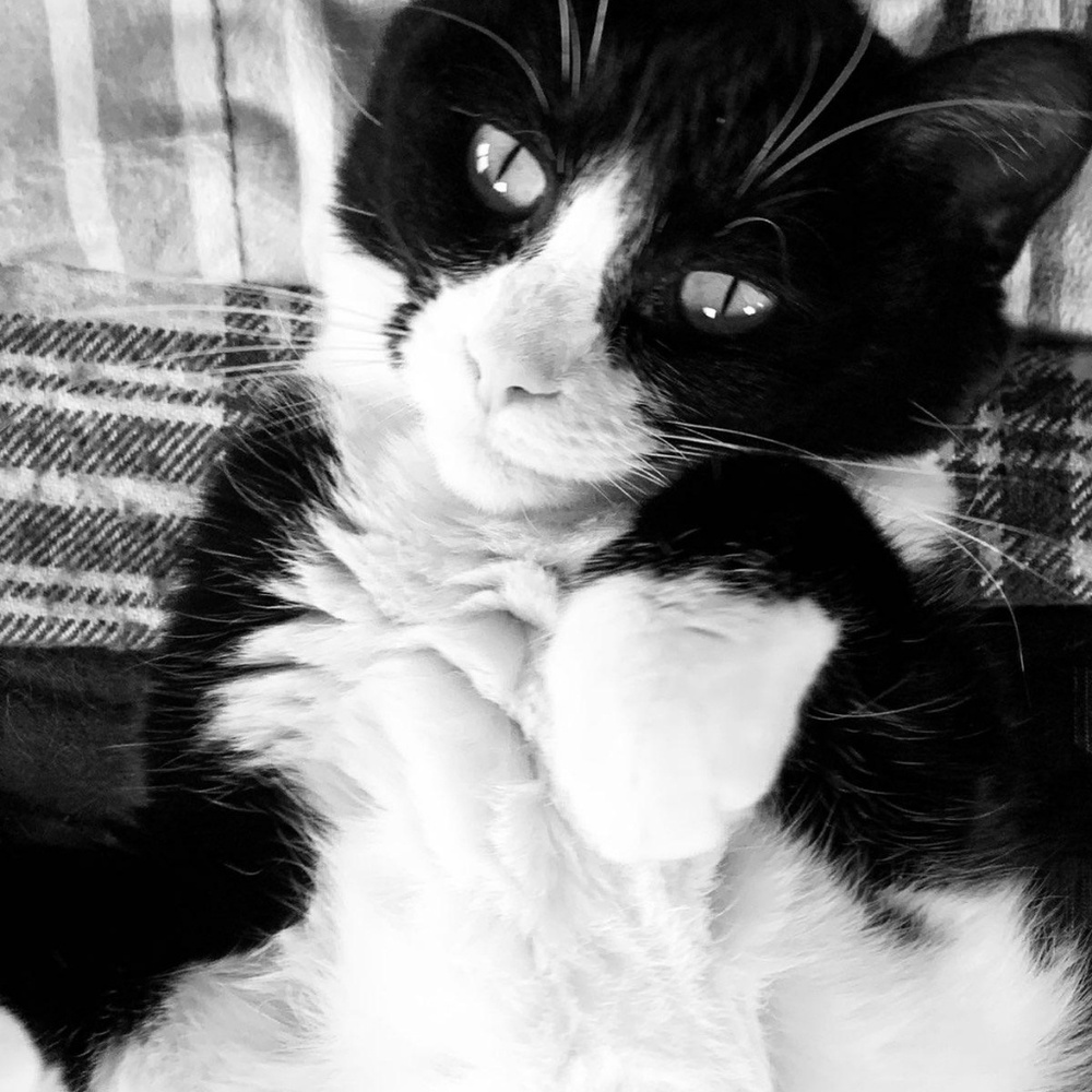 Meet your Posher, Nicki